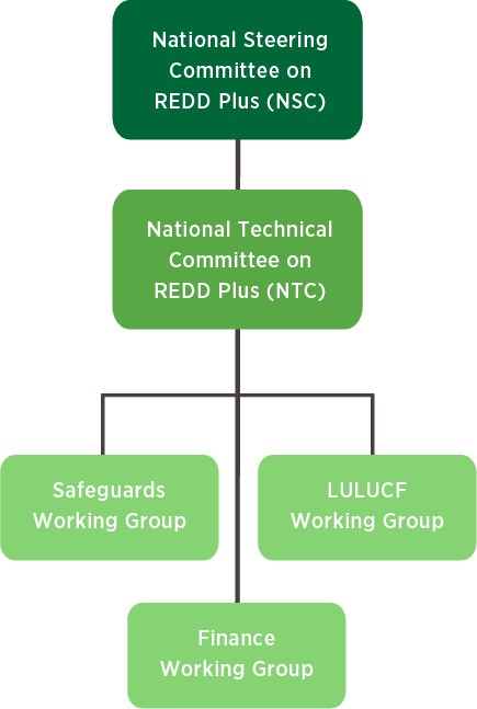 Governance Structure
